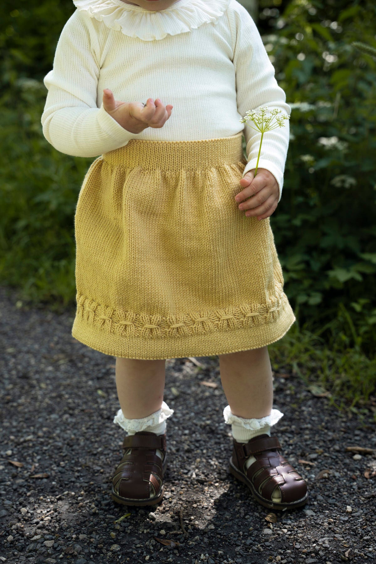 Corn yellow 035