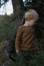 Load image into Gallery viewer, KornNeg Sweater (Danish)
