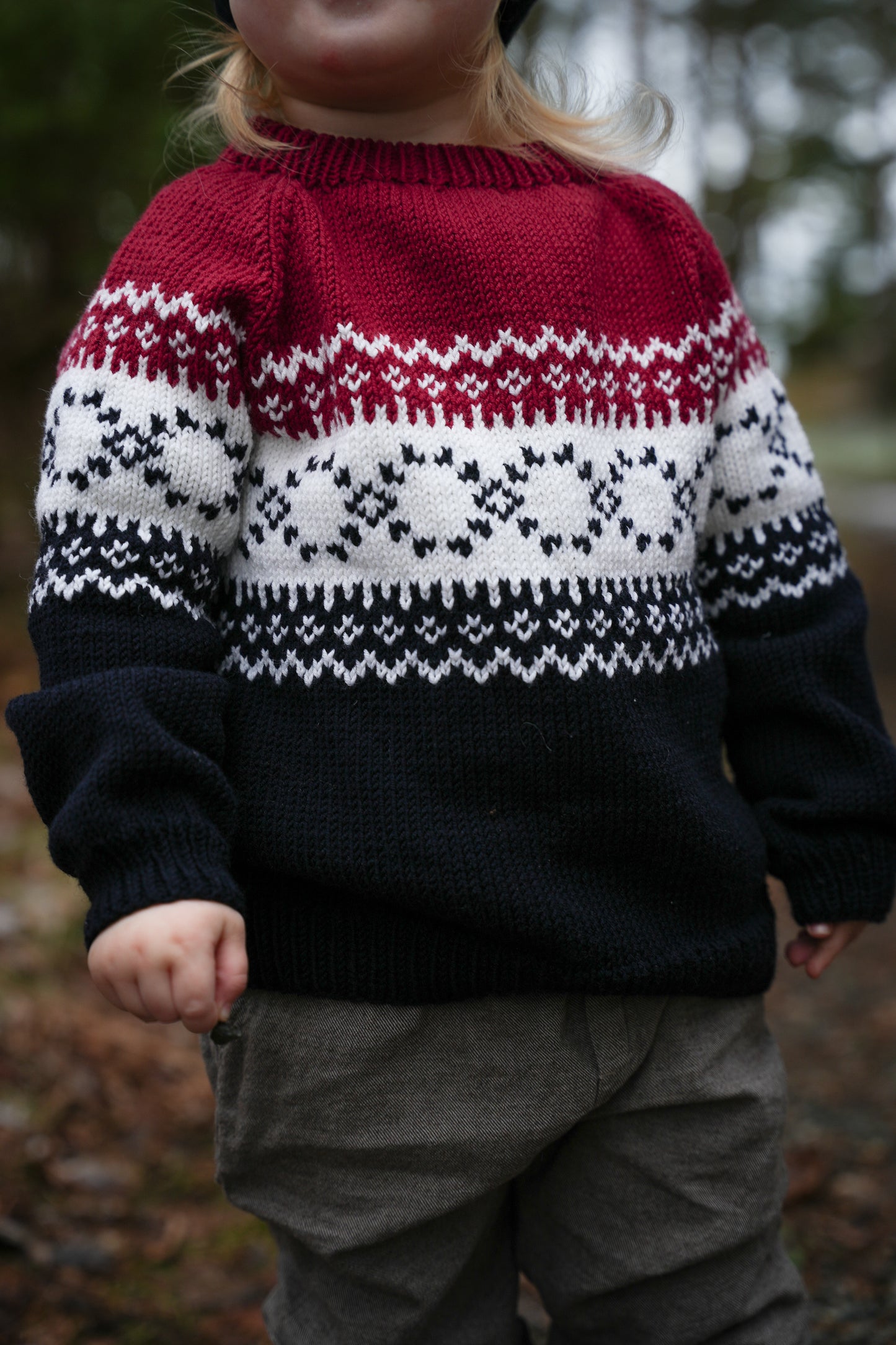 Norweagian Dream Sweater