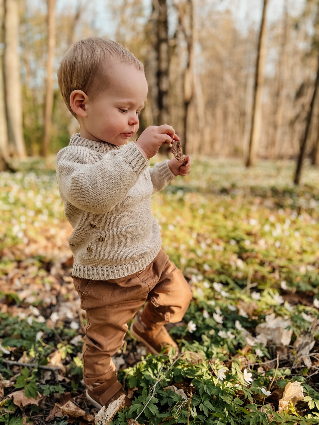 Apple Blossom Sweater (Danish)