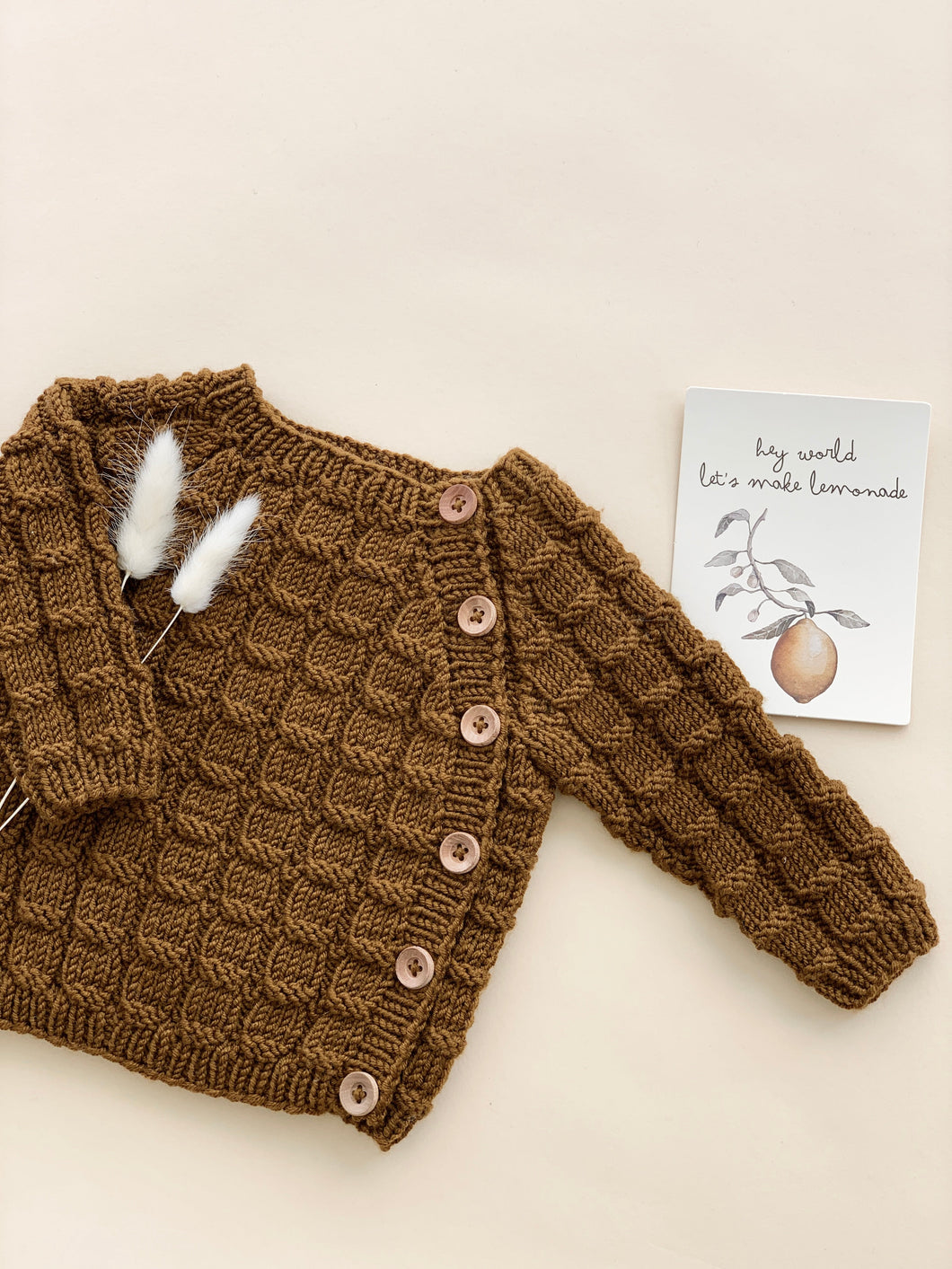 Oak Nut Button Sweater (knitting package)