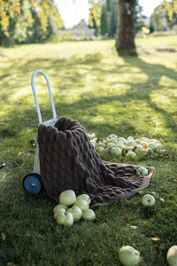 Chestnut Button Blanket (knitting package)